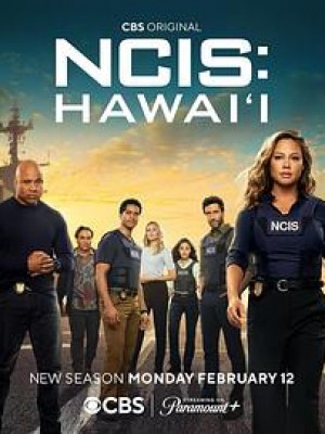 海军罪案调查处·夏威夷第三季