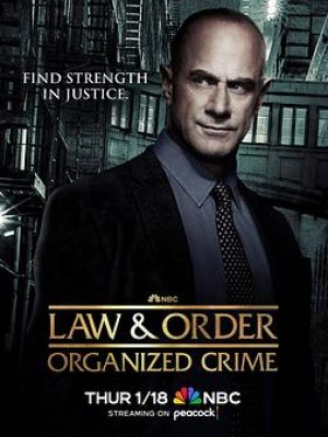 法律与秩序组织犯罪第四季