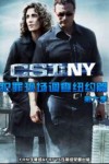 犯罪现场调查：纽约篇第六季