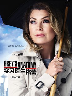 实习医生格蕾第十二季海报 实习医生格蕾第十二季