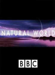 BBC自然世界
