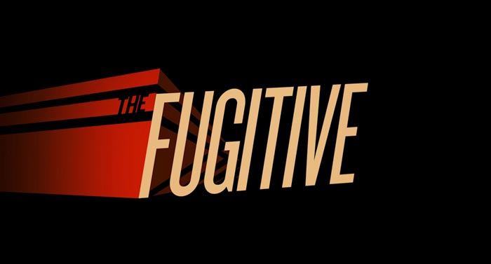 亡命天涯第一季/全集The Fugitive