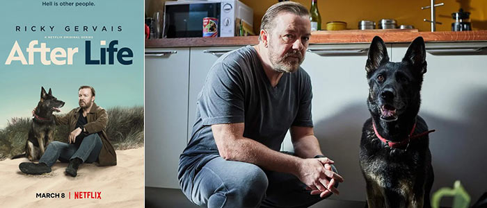 2019(Netflix)网飞高分剧排名