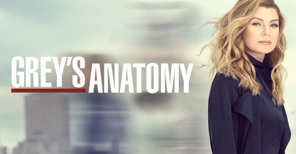 实习医生格蕾第十七季/全集Grey's Anatomy S17