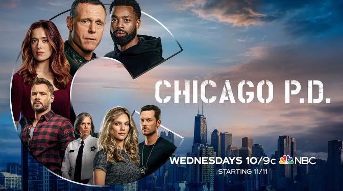 芝加哥警署 第八季的海报